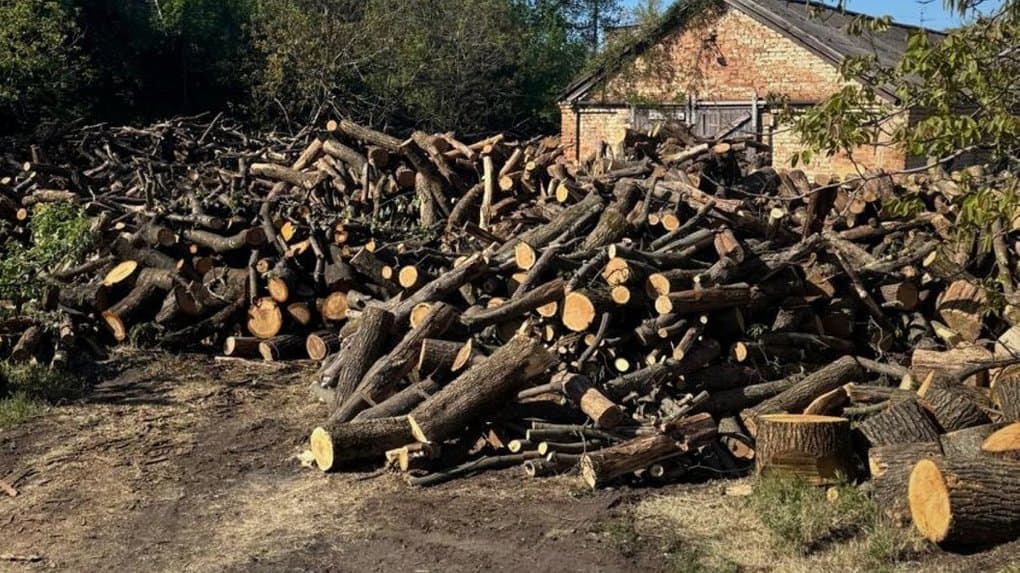 На Полтавщині незаконно вирубали дерева на понад 2,3 мільйона гривень