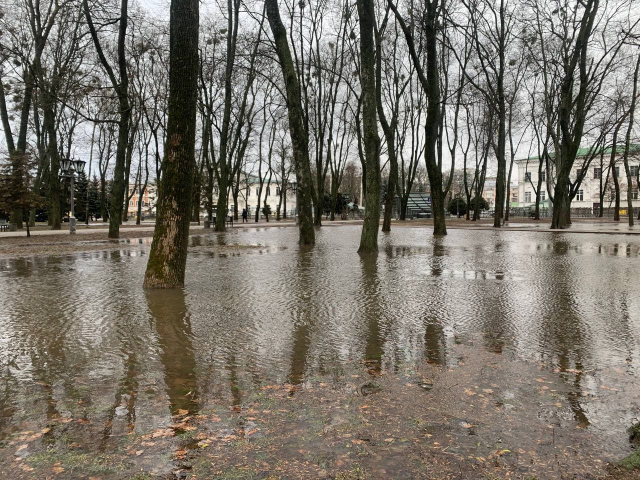377 викликів за пів дня: як на Полтавщині вода заливає двори та вулиці