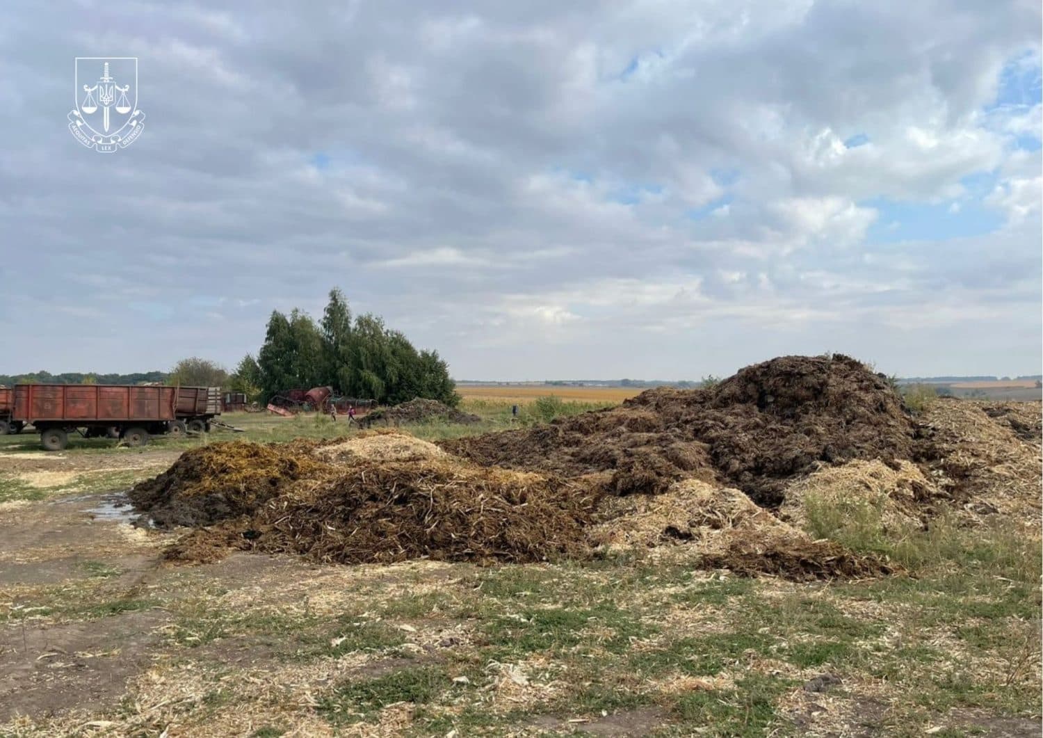 На Полтавщині судитимуть директора агрофірми за звалище тваринних відходів