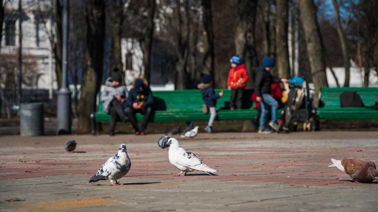 Корпусний. Центр