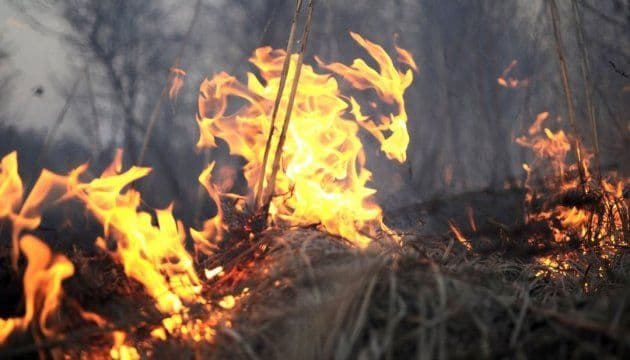 Фото: Ілюстративне. Джерело: Укрінформ.