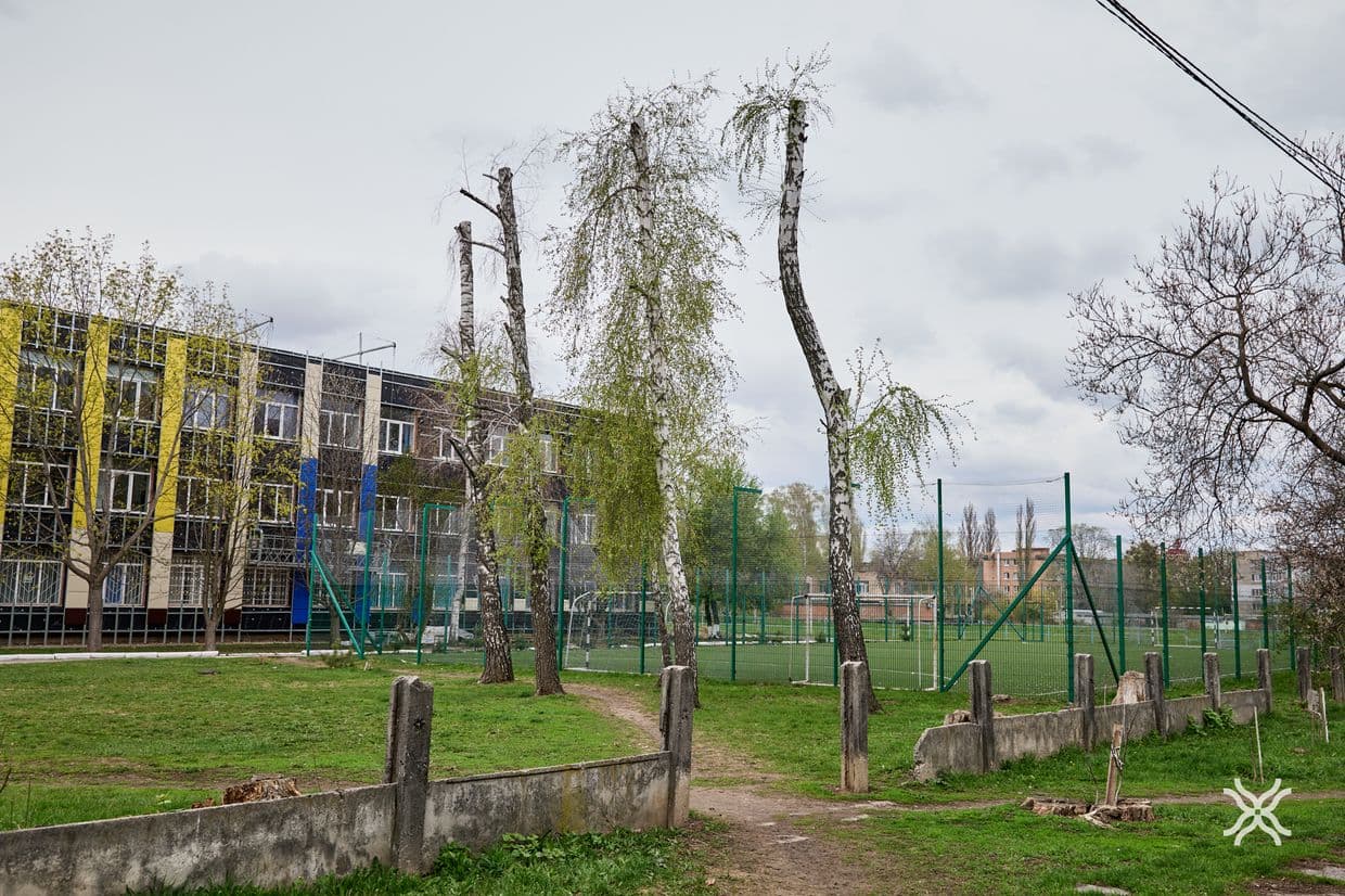 Дерева у Полтаві, кронування, догляд за деревами, Полтавська хвиля новини