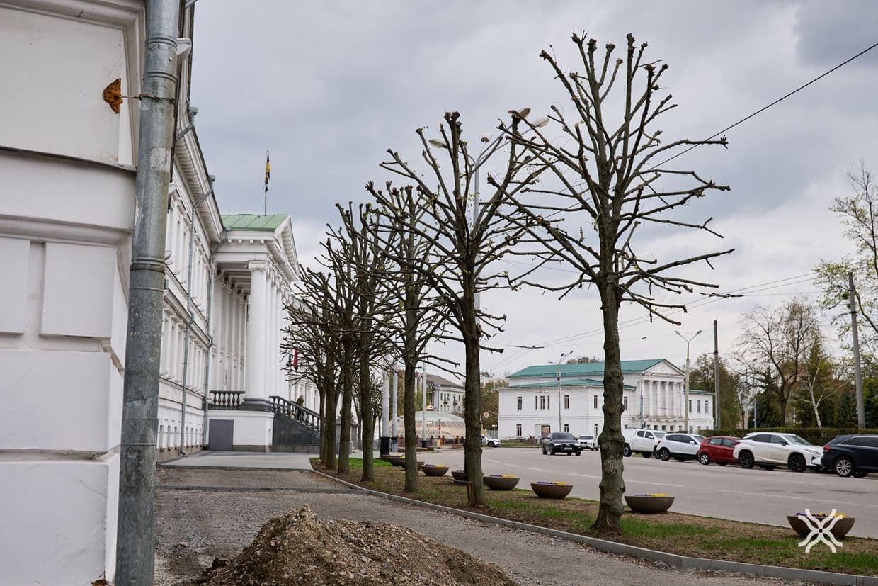 Дерева у Полтаві, кронування, догляд за деревами, Полтавська хвиля новини