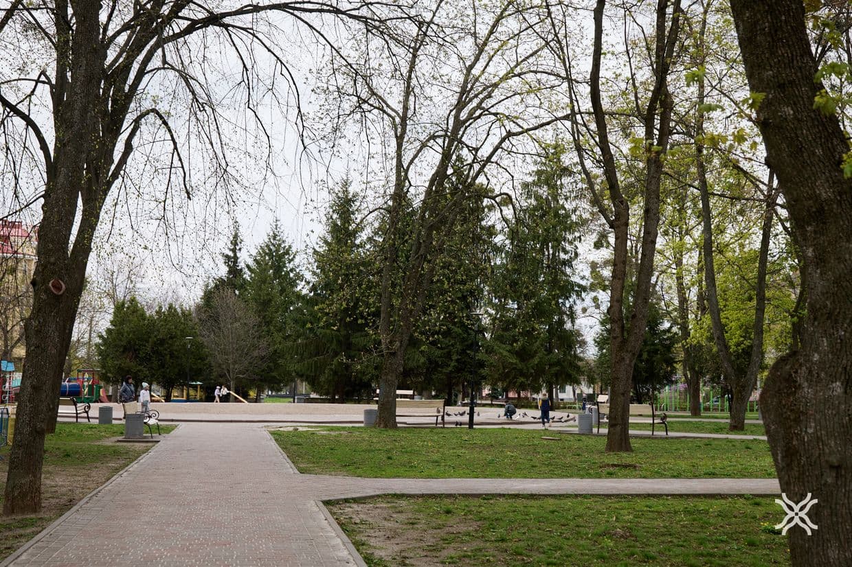 Дерева у Полтаві, кронування, догляд за деревами, Полтавська хвиля новини