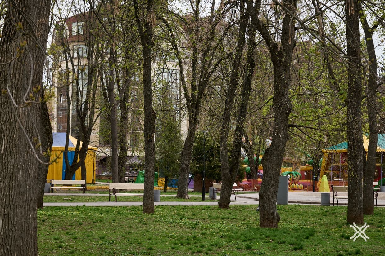Дерева у Полтаві, кронування, догляд за деревами, Полтавська хвиля новини