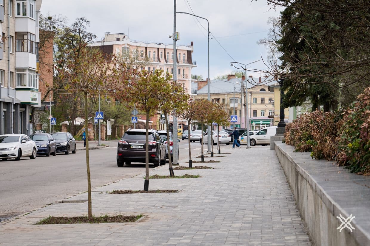 Дерева у Полтаві, кронування, догляд за деревами, Полтавська хвиля новини