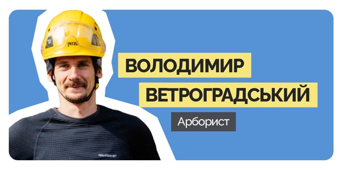 Дерева у Полтаві, кронування, догляд за деревами, Полтавська хвиля новини, арборист, Володимир Ветроградський