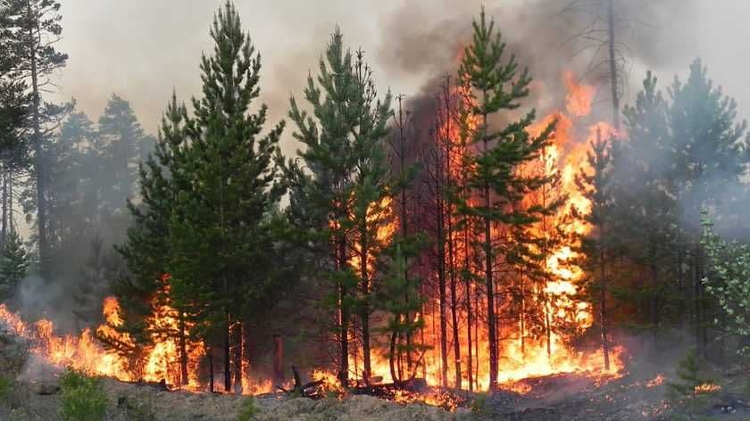 На Полтавщині переважатиме надзвичайний рівень пожежної небезпеки