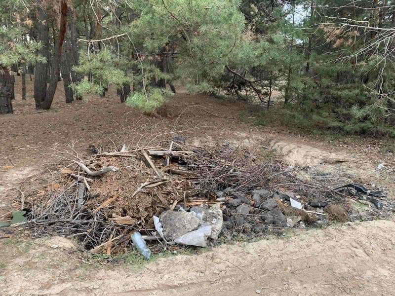 На Полтавщині прибрали два стихійні звалища