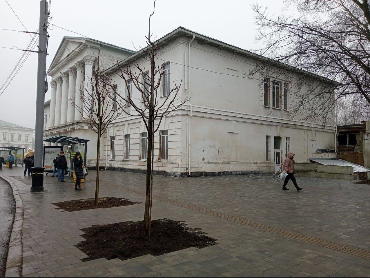 У центрі Полтави висадили два дерева