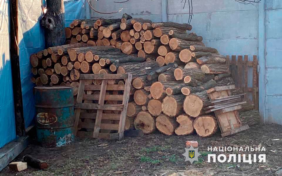 Збитки на понад один мільйон гривень: на Полтавщині викрили нелегальних лісорубів