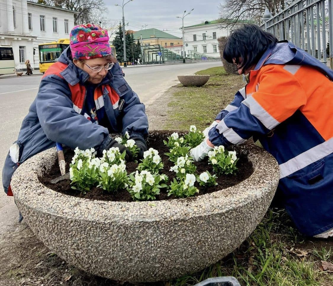 У Полтаві планують висадити 130 тисяч саджанців квітів