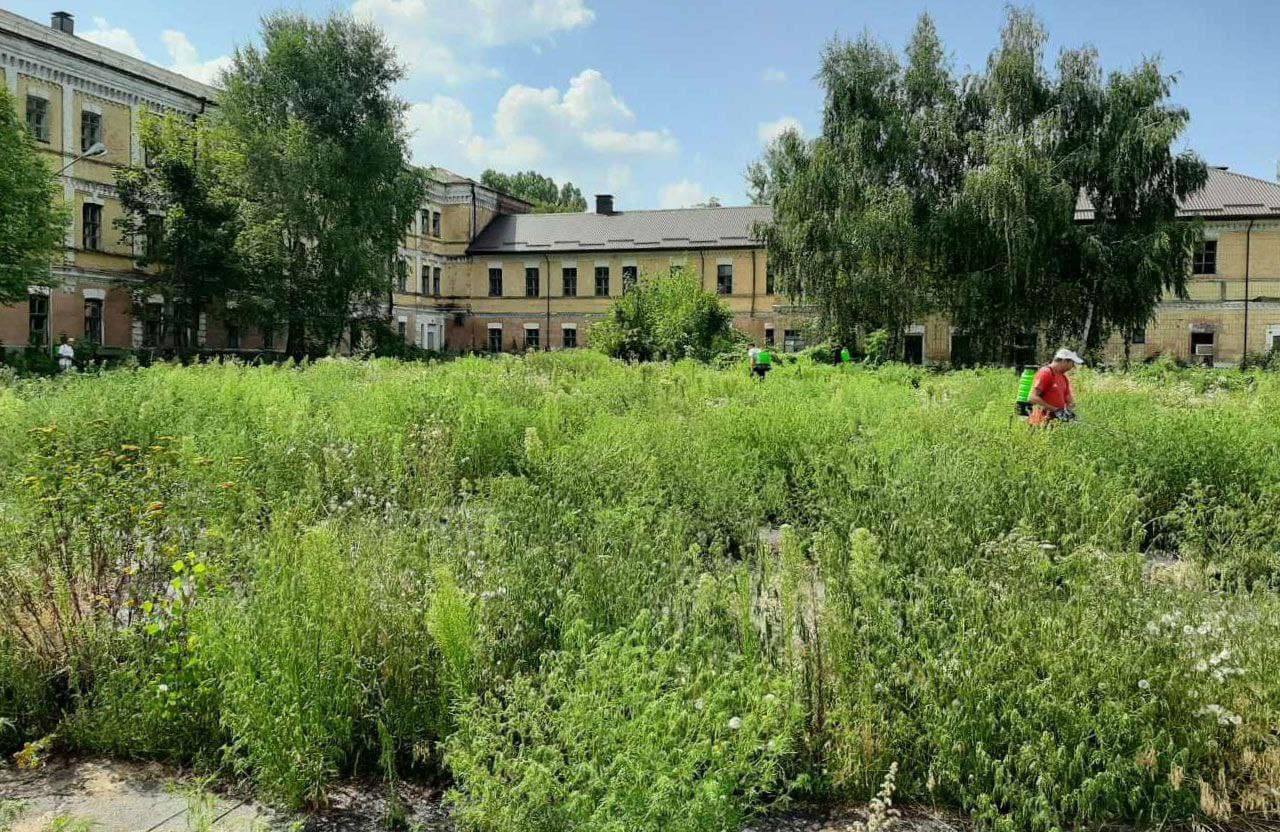 Зелена ініціатива: у Полтаві висадять перші міські луки
