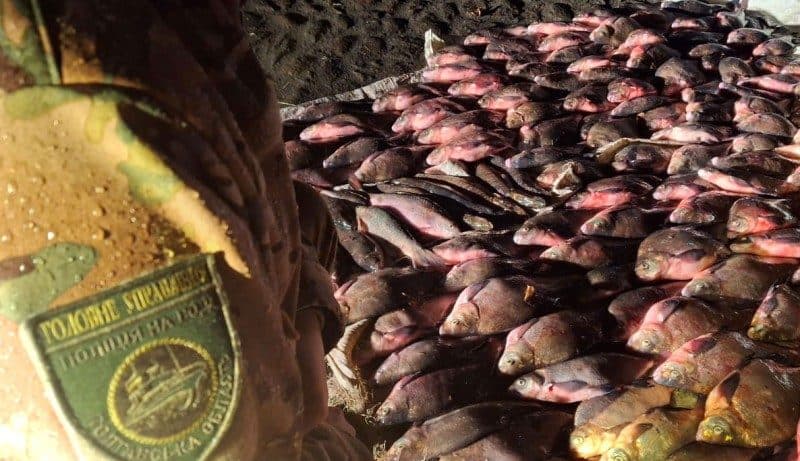 На Полтавщині затримали браконьєрів, які наловили риби на понад два мільйона