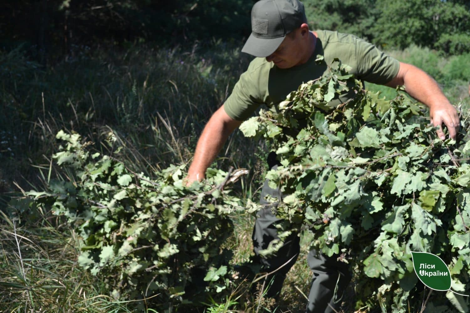 Лісівники Полтавщини готують корми на зиму для диких тварин