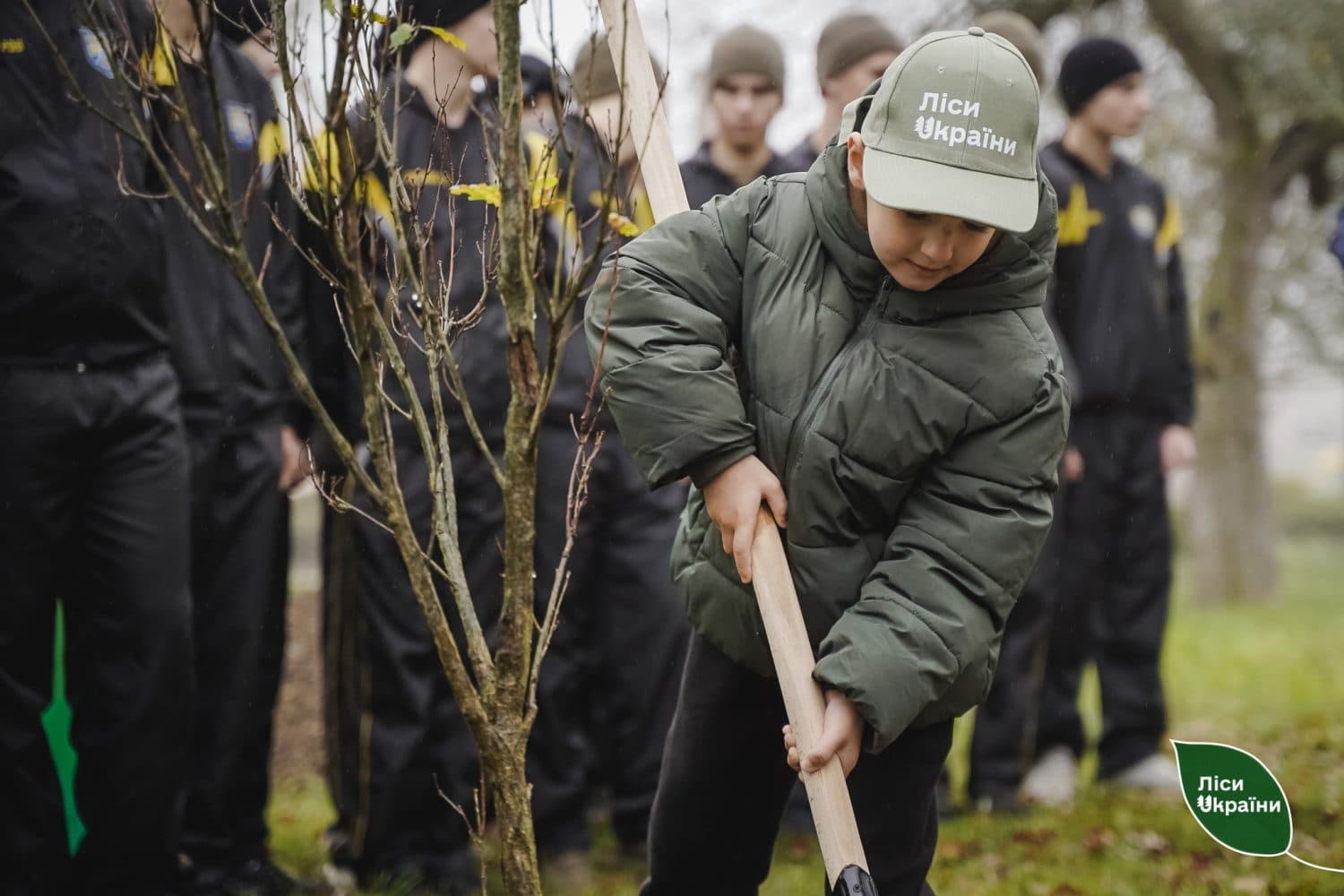 На Полтавщині висадили мільярдне дерево програми «Зелена країна»