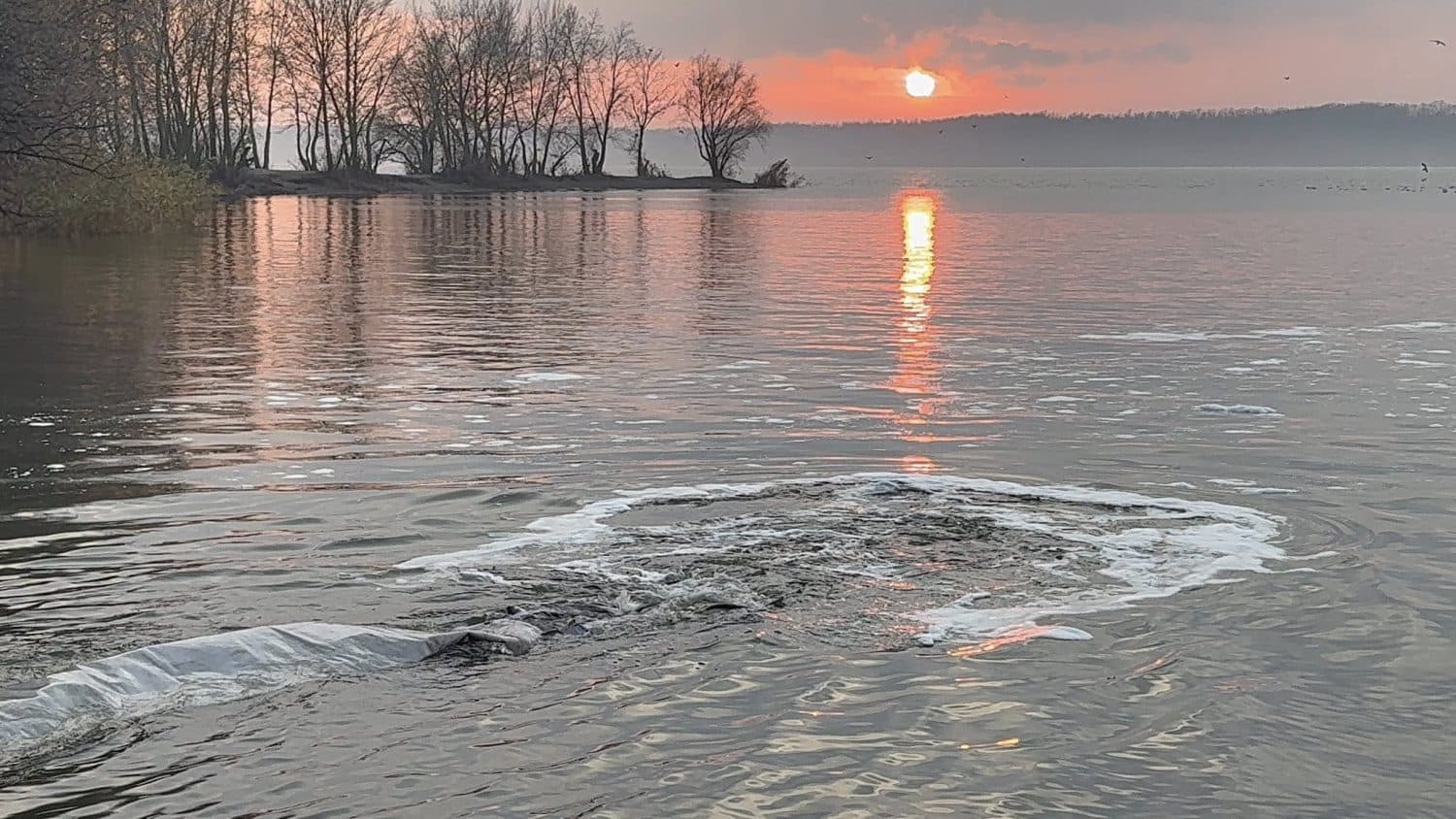У Кременчуцьке водосховище випустили понад 86 тисяч екземплярів риби