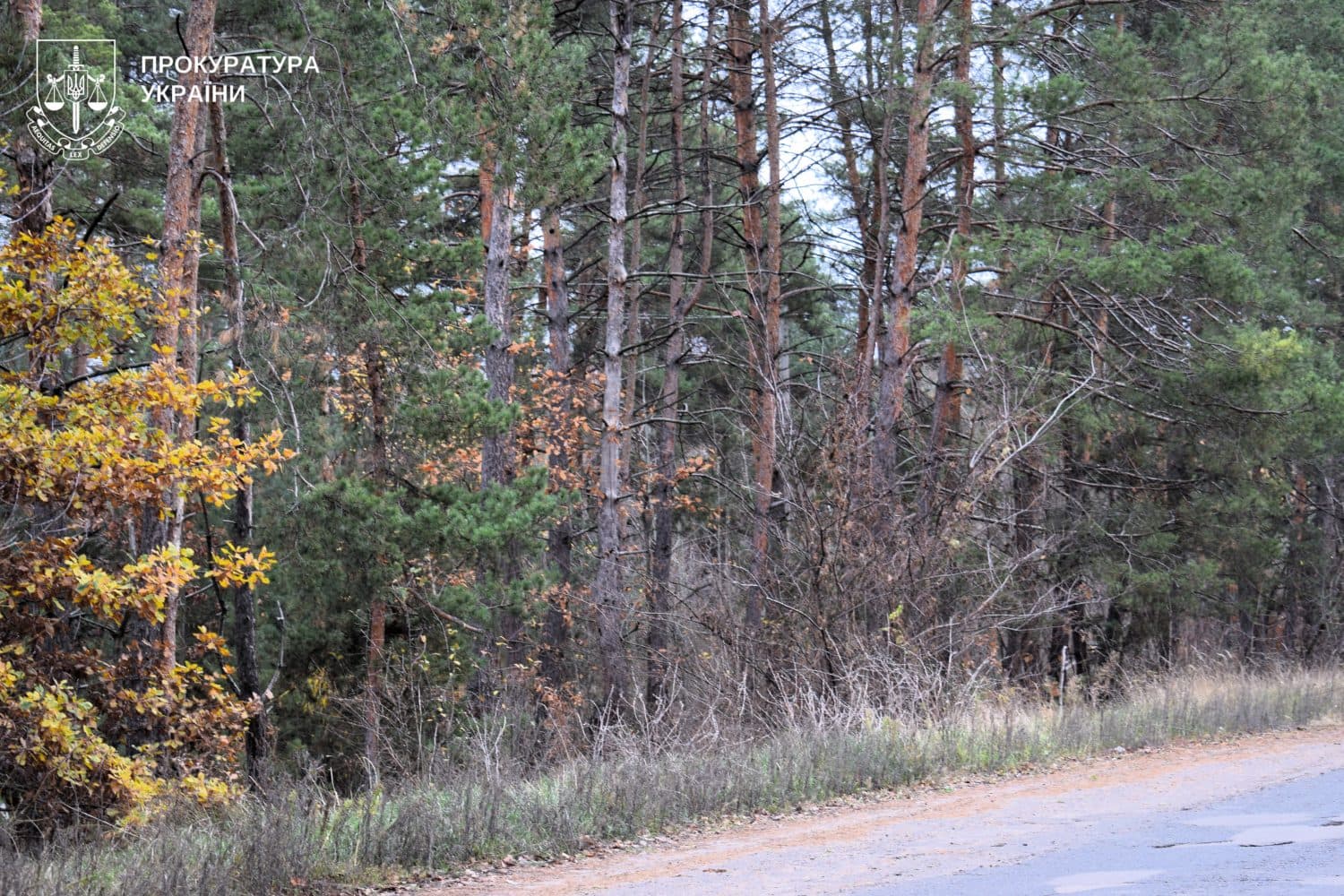 Державі повернули понад 160 гектарів лісу Полтавщини