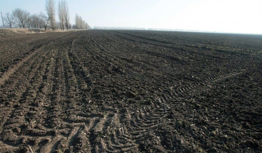 Полтавщині повернули 157 гектарів заповідних земель