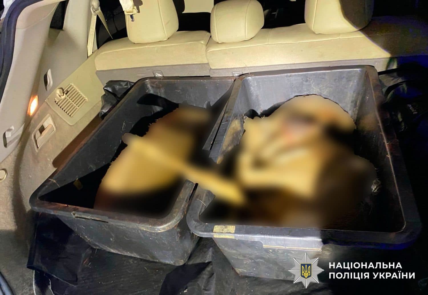 На Полтавщині виявили вбитих козуль у багажнику автівки