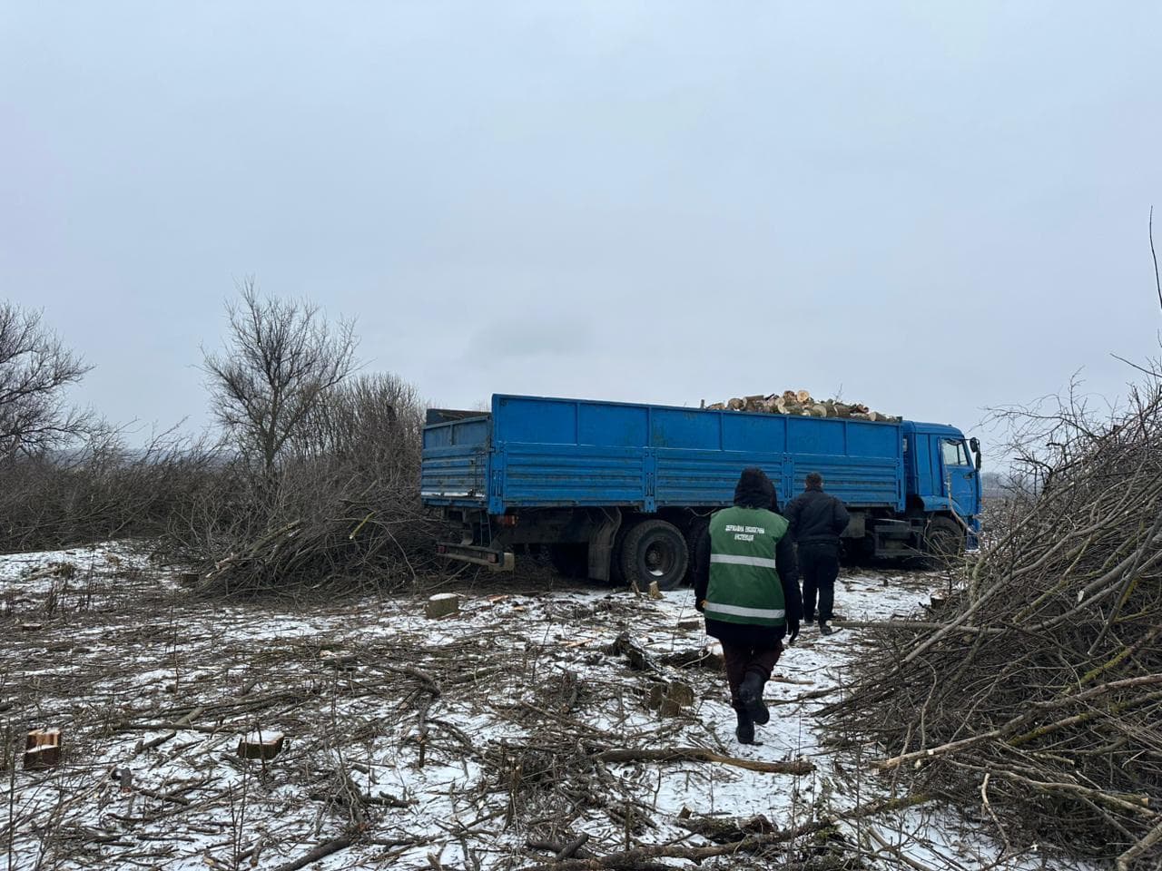 Понад 100 тисяч гривень збитків: на Решетилівщині викрили незаконну порубку дерев