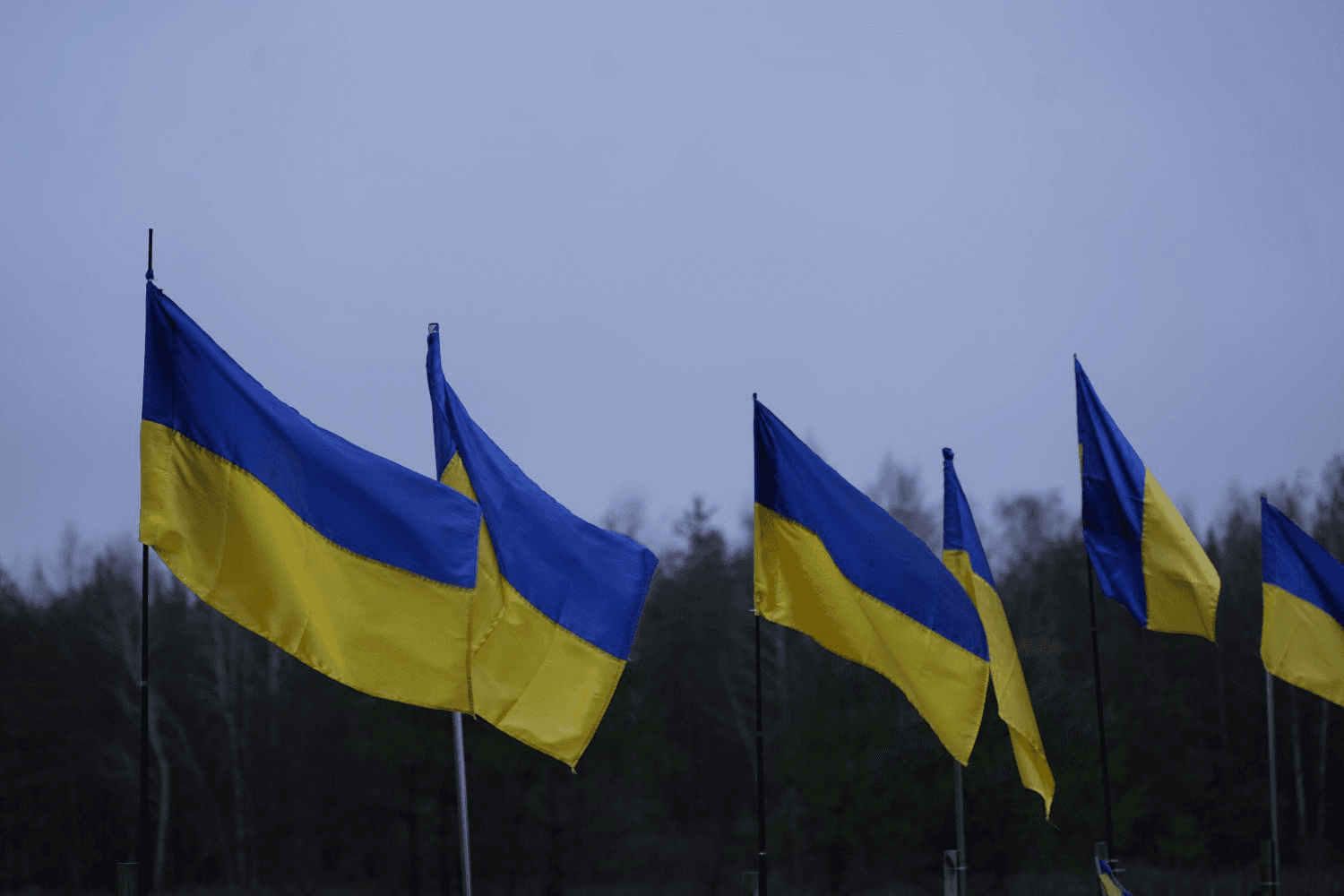 У Полтаві взяли під варту підозрюваних у розкраданні грошей на секторі поховань воїнів