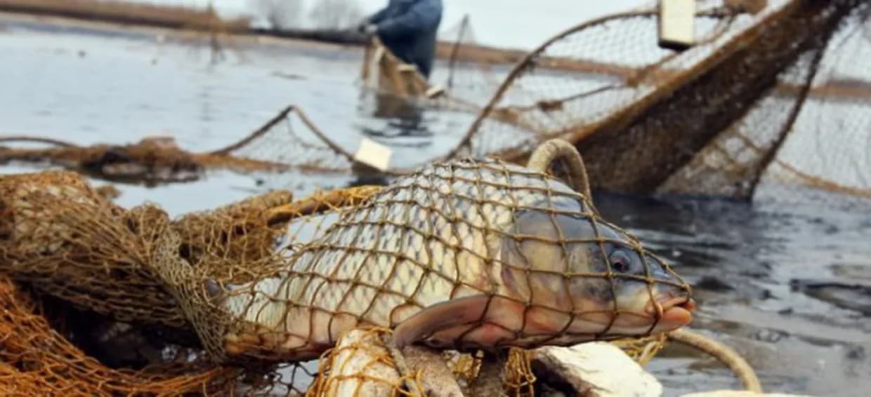 Фото: Ілюстративне. Джерело: Вінниця.інфо