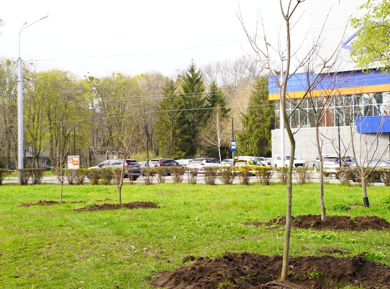 Фото: Полтавська міська рада