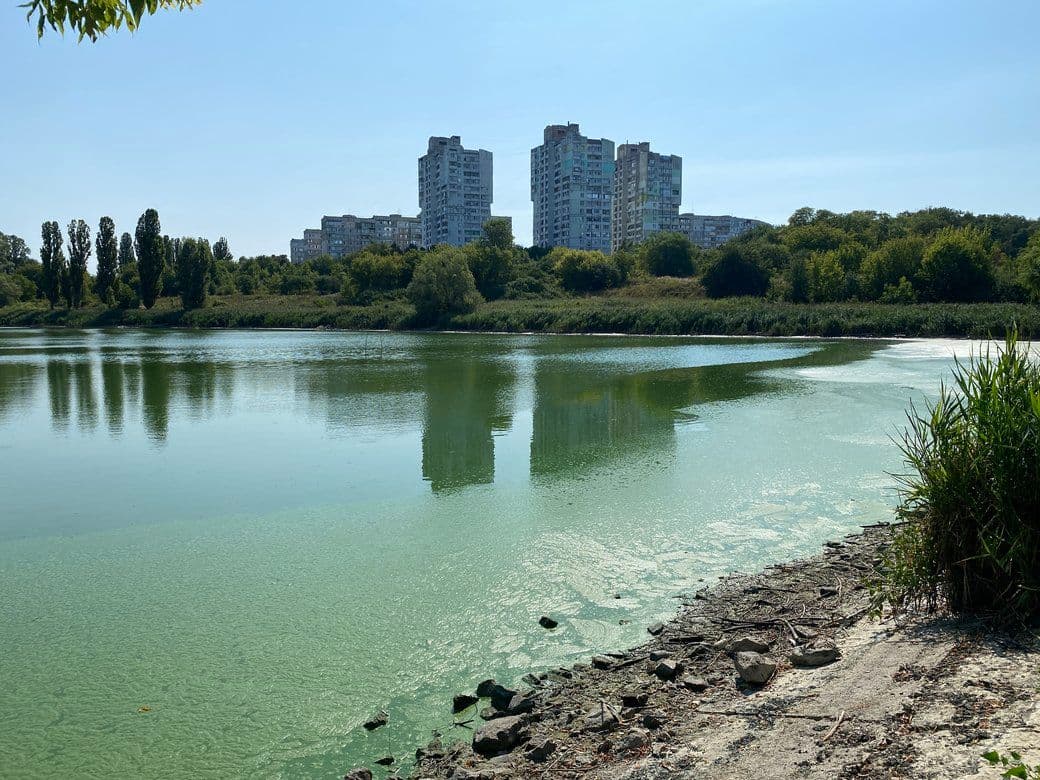 Пушкарівські ставки. Фото: Суспільне Полтава