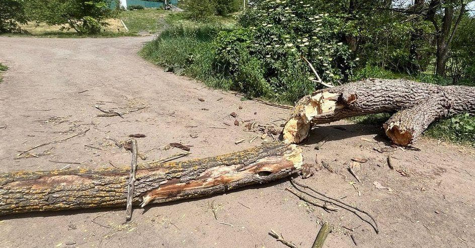 Фото: Нацполіція