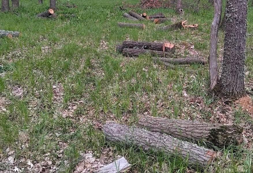 Фото: Полтавська обласна прокуратура.