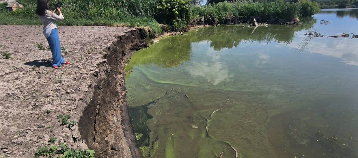 Берез Кременчуцького водосховища