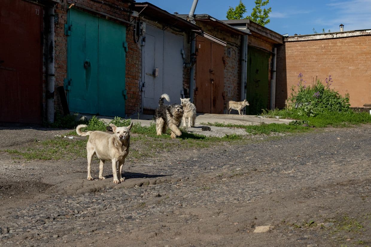 Гаражі у Полтаві, гаражний кооператив у Полтаві, Гараж, куплю гараж, продаю гараж,Полтава гараж, Полтавська хвиля