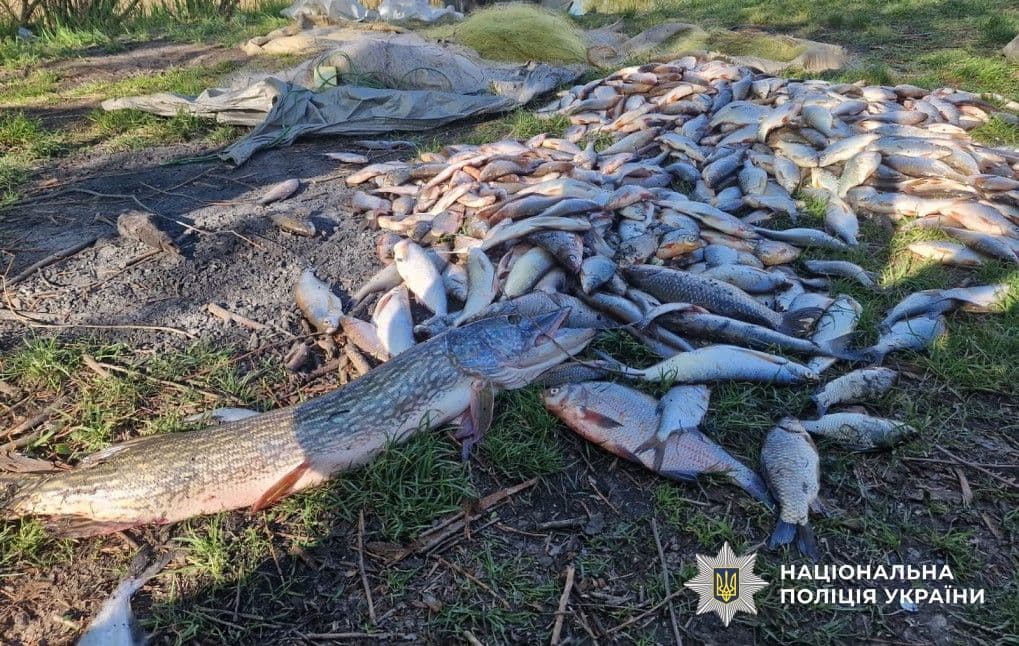 На Полтавщині викрили понад 40 випадків незаконного вилову риби