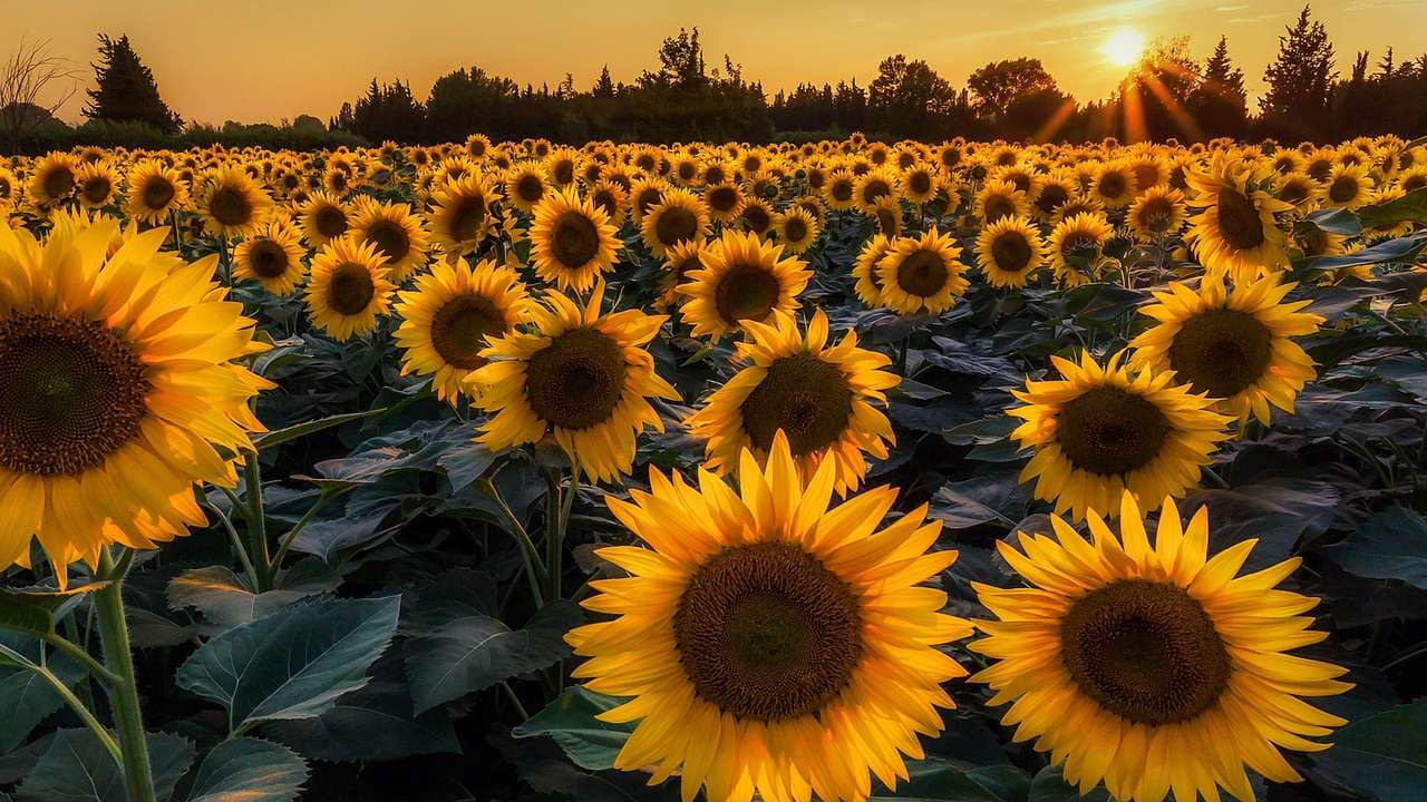 Ілюстративне фото. Джерело: Радіо Трек