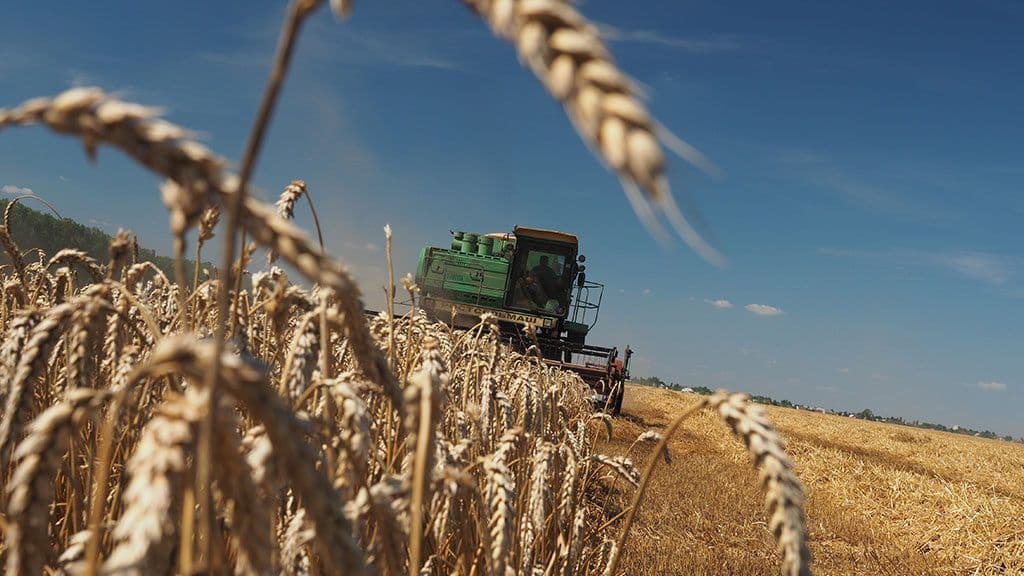 Фото: Ілюстративне. Джерело: Управління агропромислового розвитку.