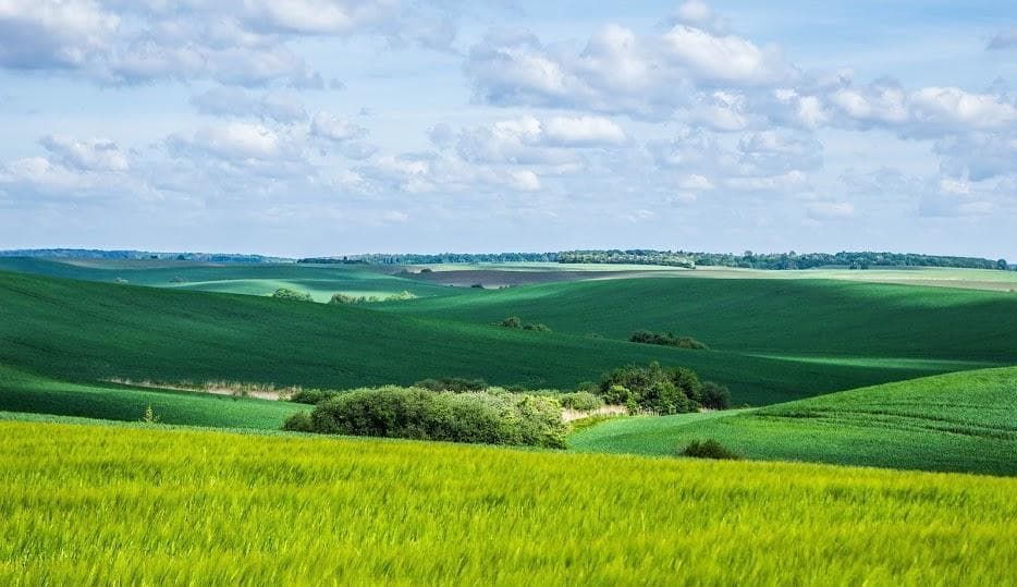 Ілюстративне фото. Джерело: Агрополіт