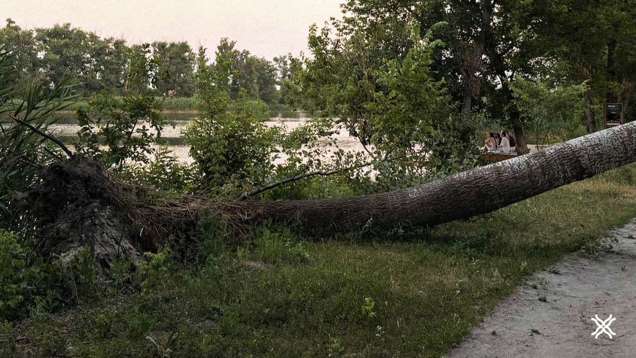 Прирічковий парк