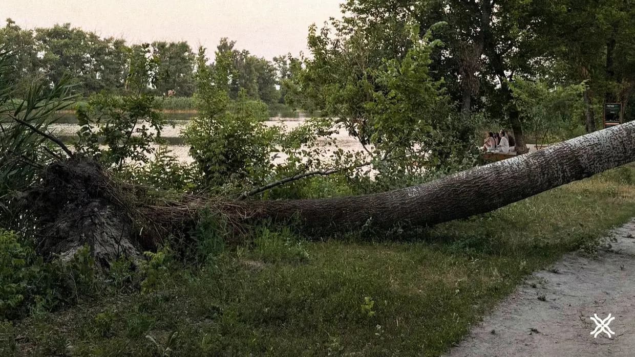 Прирічковий парк
