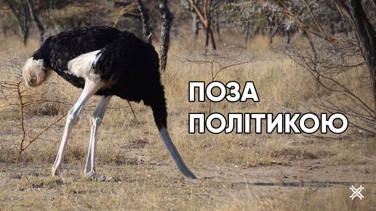 Політика, політична грамотність, Полтавська хвиля, новини, новини Полтавщини, чому потрібно бути в політиці