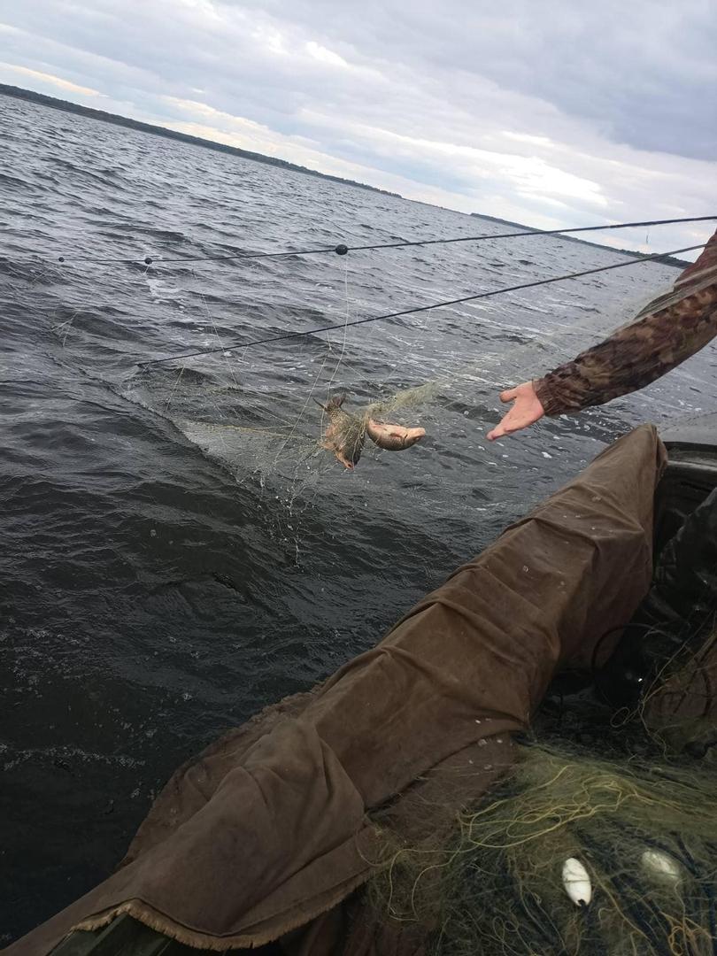 З водосховища на Полтавщині дістали понад пів кілометра браконьєрських сіток