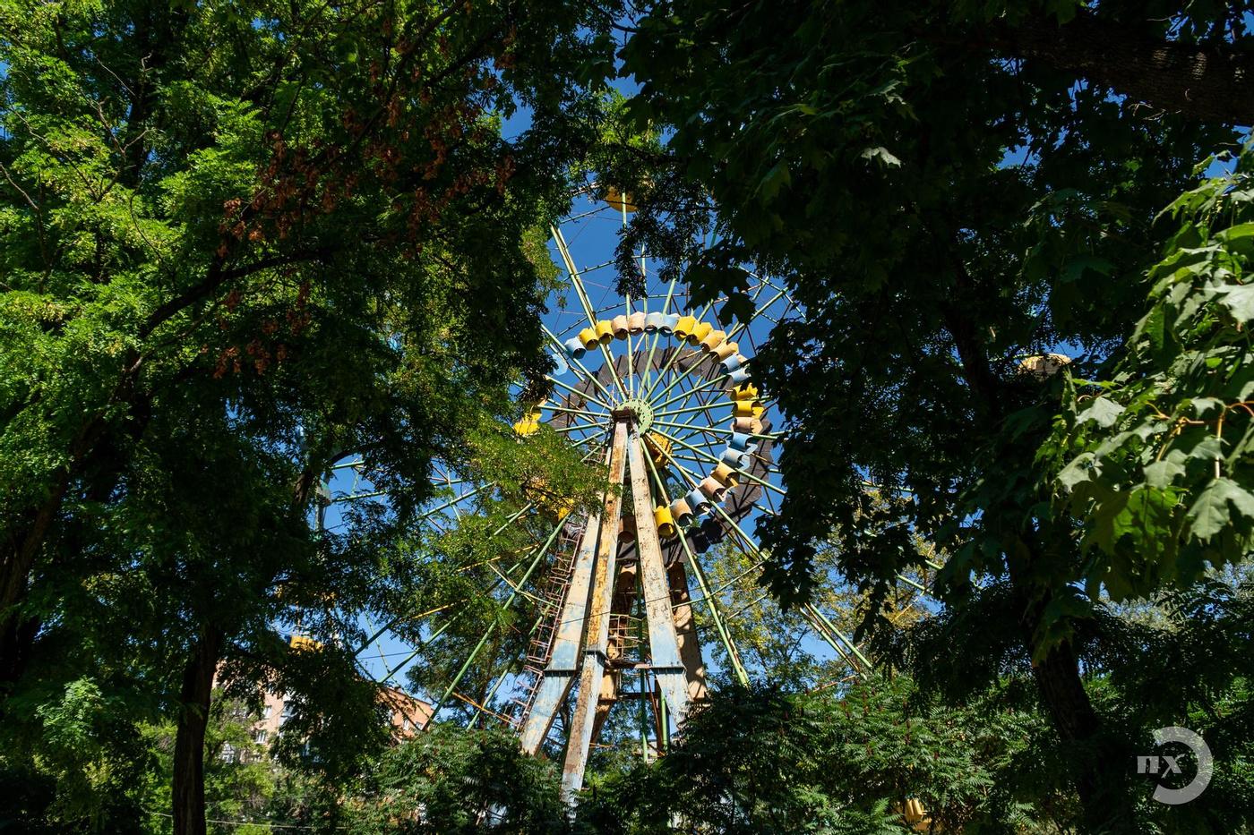 Полтавський парк, парк Перемога в Полтаві, оглядове колесо в парку Перемога, літо в Полтаві, дерева, природа в місті