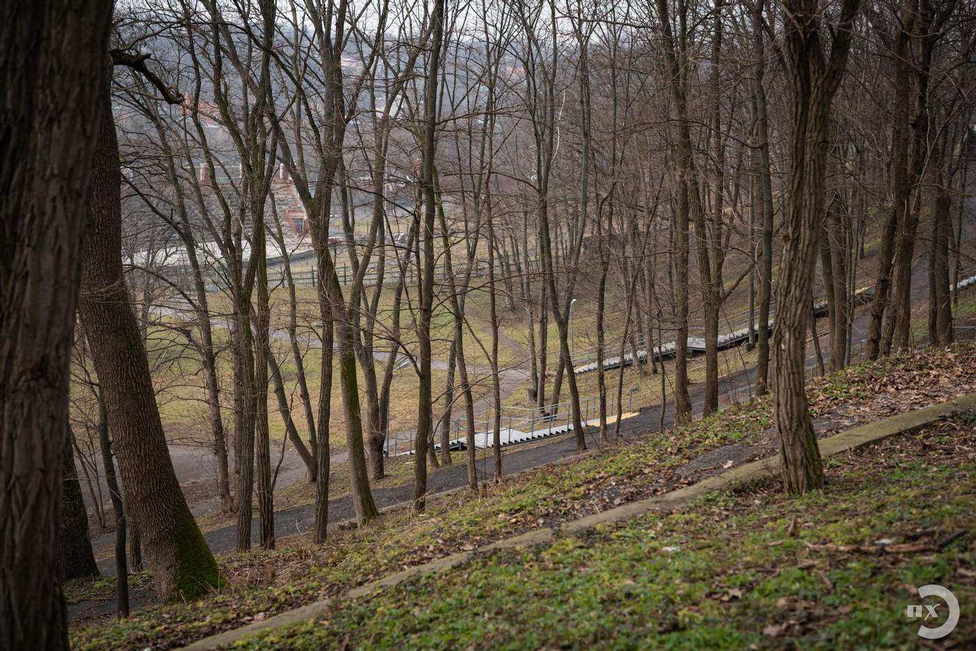Полтавський парк, парк «Перемоги» зима, дерева у парку