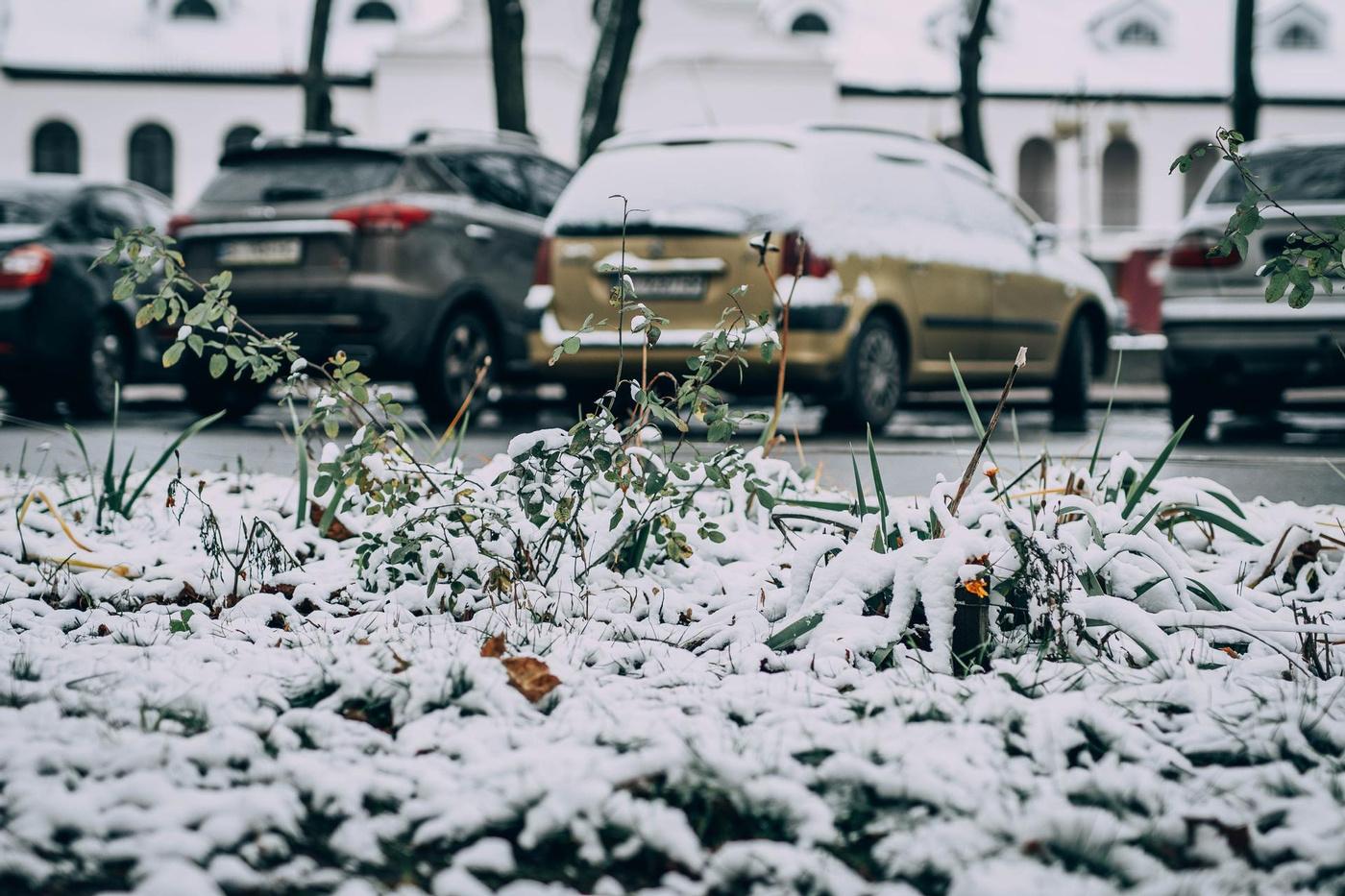 Сніг, лютий, Полтавська хвиля, погода, прогноз, синоптики, фото, листя, авто, місто, Полтава