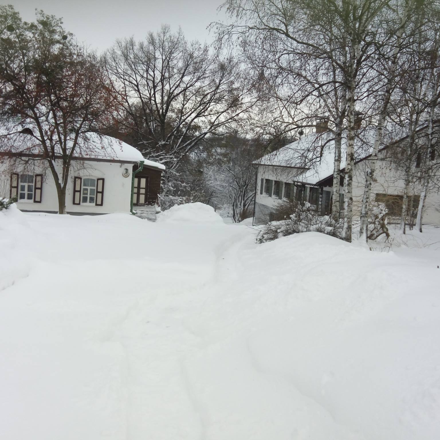 У музеї Панаса Мирного проведуть обрядове свято для полтавців