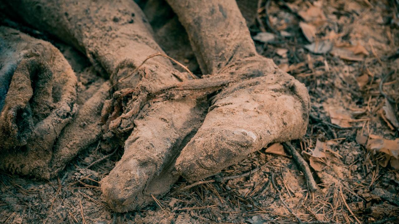 Генпрокурор Німеччини — «Ми зібрали докази воєнних злочинів росії для суду»